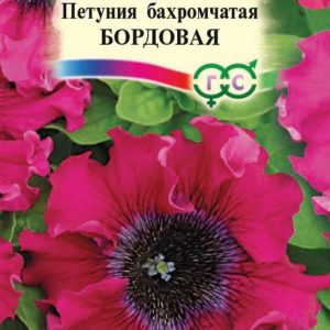 Петуния Бордовая бахромч. 10 шт. пробирка Н12