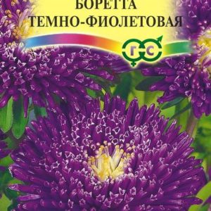 Астра Боретта темно-фиолетовая 0,3 г, принцесса Н9