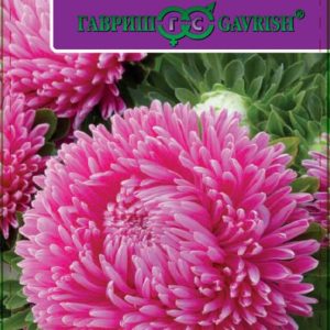 Астра Леди Корал бриллиантово-розовая* 0,1 г серия Эксклюзив Н11, розовидная