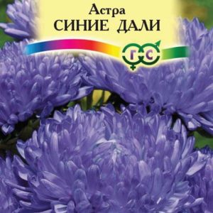Астра Синие дали 0,3 г, пионовидная Н10