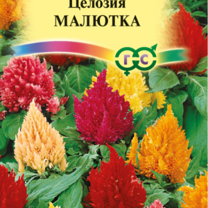 Целозия Малютка, перистая *, смесь 0,01г