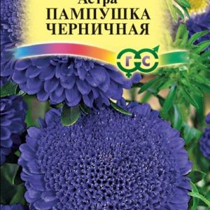Астра Пампушка черничная 0,3 г Н12