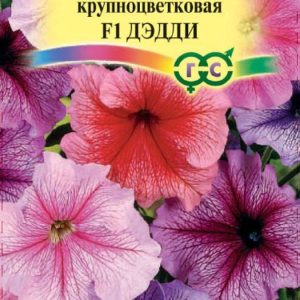 Петуния Дедди F1 крупноцв. гранул. 8 шт. пробирка