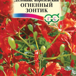 Делоникс королевский Огненный зонтик 3 шт.