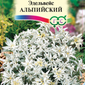 Эдельвейс Альпийский* 0,02 г сер. Альпийская горка