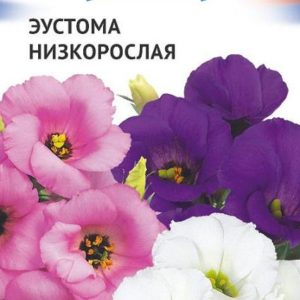 Эустома низкоросл. смесь серия Триколор 9 шт