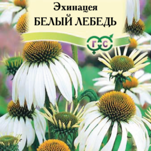 Эхинацея Белый лебедь* 0,1 г