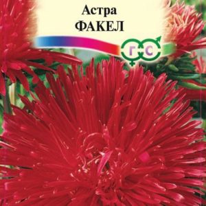 Астра Факел 0,3 г