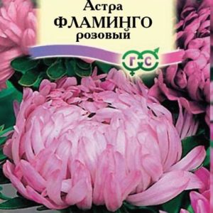 Астра Фламинго розовый 0,3 г, пионовидная
