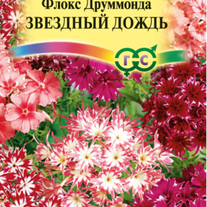 Флокс Звездный дождь друммонди* 0,1 г