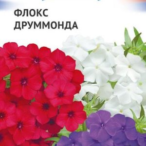 Флокс друмонда смесь серия Триколор 0,15 г