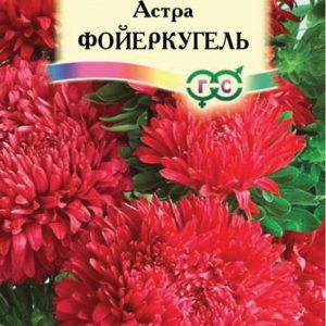 Астра Фойеркугель 0,3 г, карликовая красная