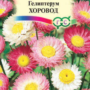 Гелиптерум розовый Хоровод, смесь 0,2 г