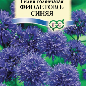 Гилия головчатая Фиолетово-синяя* 0,1 г