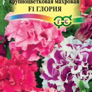 Петуния Глория F1крупноцв. 8 шт. гранул. пробирка