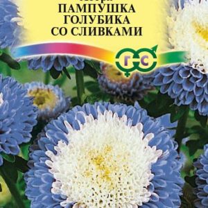 Астра Пампушка голубика со сливками 0,3 г Н12