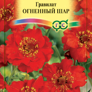 Гравилат Огненный шар чилийский 0,1 г