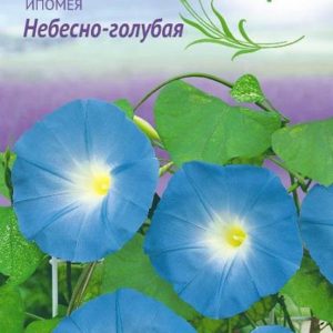 Ипомея Небесно-голубая 0,5 г , серия Лавандовые грёзы