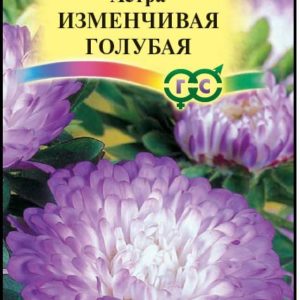 Астра Изменчивая голубая 0,3 г, пионовидная