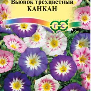 Вьюнок Трехцветный Канкан, смесь 0,5 г