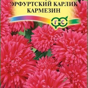 Астра Эрф. карлик Кармезин 0,3 г