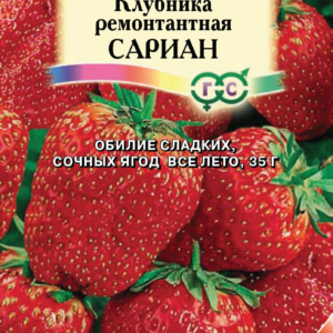 Клубника Сариан* 4 шт.