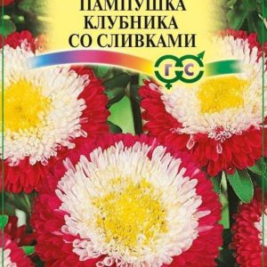 Астра Пампушка клубника со сливками 0,3 г Н12