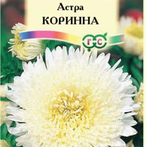 Астра Коринна 0,3 г, принцесса белая