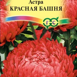 Астра Красная башня 0,3 г, пионовидная