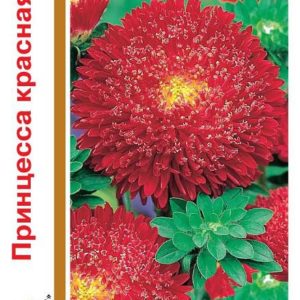 Астра Принцесса красная 0,5 г, серия 1+1 Н14