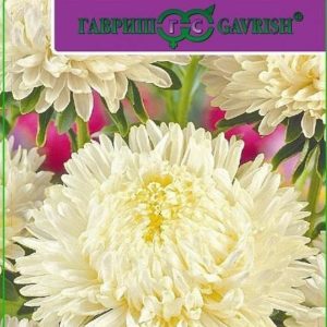 Астра Леди Корал кремово-белая* 0,1 г серия Эксклюзив Н11, розовидная