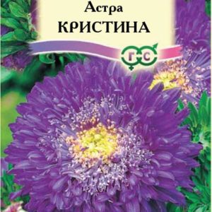 Астра Кристина 0,3 г, принцесса