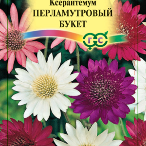 Ксерантемум Перламутровый букет 0,05 г