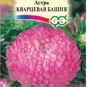 Астра Кварцевая башня 0,3 г, пионовидная