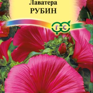 Лаватера Рубин 0,5 г Н10