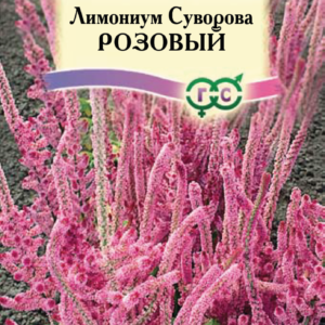 Лимониум Суворова розовый* 0,01 г