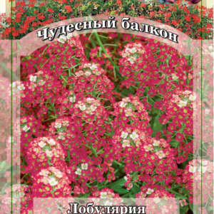 Лобулярия Нота сердца* 0,1 г серия Чудесный балкон Н10