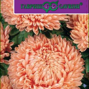 Астра Леди Корал лососево-розовая* 0,1 г , розовидная серия Эксклюзив Н11