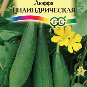 Люффа Цилиндрическая 5 шт. Н10