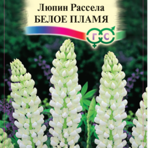 Люпин Белое пламя Рассела 0,5 г