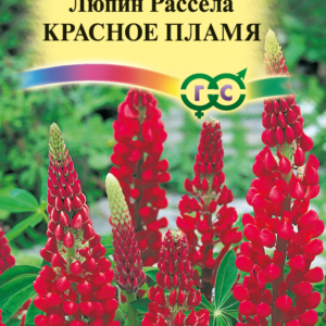 Люпин Красное пламя Рассела 0,5 г