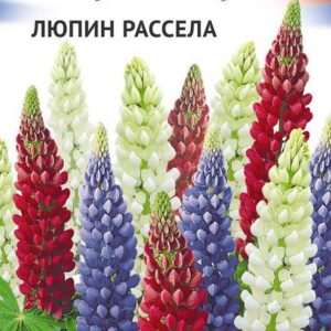 Люпин, смесь серия Триколор 0,5 г Н17