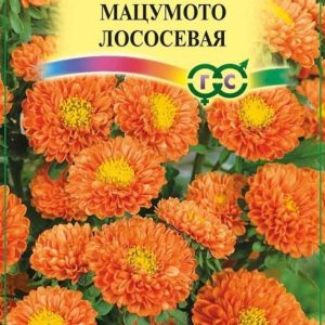 Астра Мацумото лососевая 0,3 г