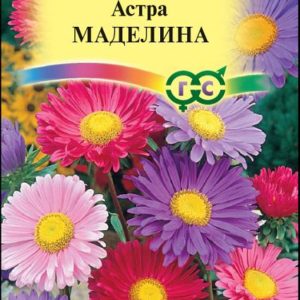 Астра Маделина, смесь 0,3 г