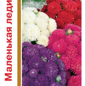 Астра Маленькая леди , смесь 0,6 г серия 1+1 Н14