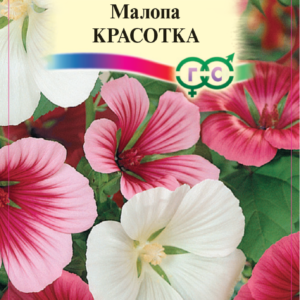 Малопа Красотка*, смесь 0,1 г