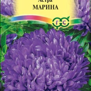 Астра Марина 0,3 г, воронежская Н13