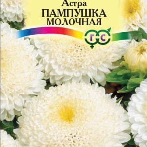 Астра Пампушка молочная 0,3 г Н12