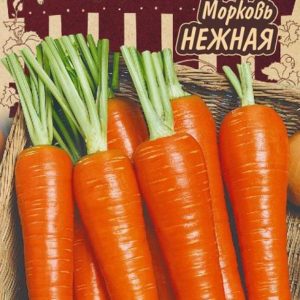 Морковь Нежная 2 г Серия Ленивый огород Н17