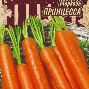Морковь Принцесса 2 г Серия Ленивый огород Н17